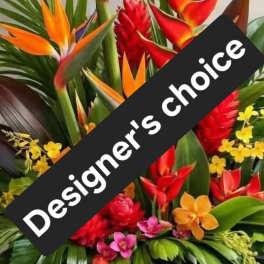 Designer's Choice - Paradise