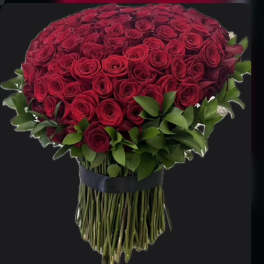 Large bouquet of red roses with green foliage on a black background