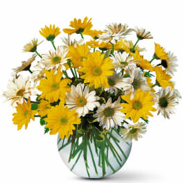 Yellow and white daisy arrangement in a clear round glass vase