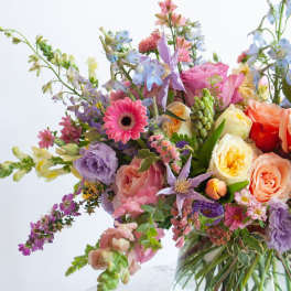 Spring Designer's Choice Vased Arrangement - $150 (Online Special Only)