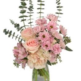 Pink Posy