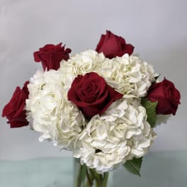 Red roses with white hydrangeas in a clear glass vase