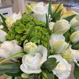 White roses and tulips arranged with a green hydrangea cluster