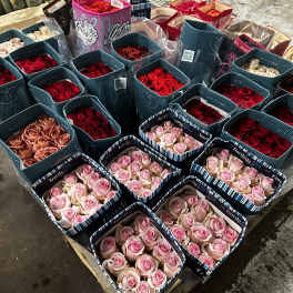 Assorted roses arranged in square gift boxes on a pallet