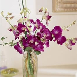Purple orchids arranged in a clear glass vase