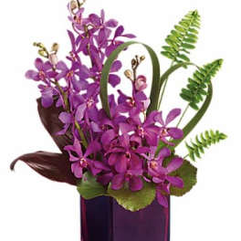 Purple orchid arrangement in a square glass vase
