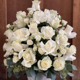 White roses arranged in a white vase with dark green foliage