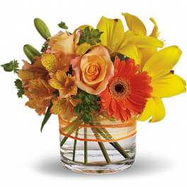 Orange roses and yellow lilies in a glass vase with an orange ribbon