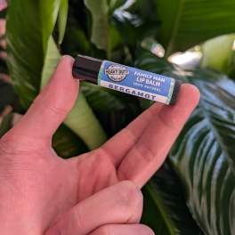 Hand holding a bergamot lip balm tube in front of green leaves