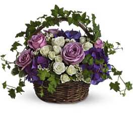 Basket arrangement of purple and white roses with ivy