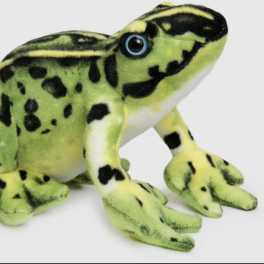Plush green-and-black spotted frog toy on a white background