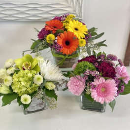 Three small mixed flower arrangements with gerbera daisies and other blooms in clear glass cube vases.