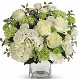 White roses and green carnations in a clear square vase