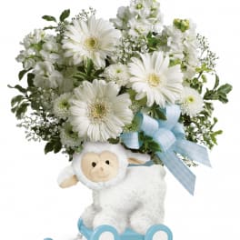 White flower arrangement on a plush lamb toy with a blue ribbon