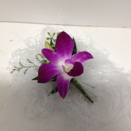 Purple orchid bloom with white filler on a white background