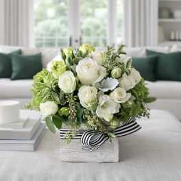 White and green rose arrangement in a square box with striped ribbon