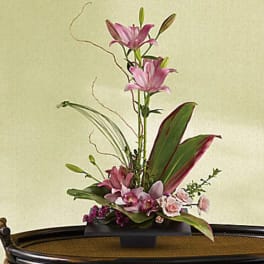 Imagination Blooms with Cymbidium Orchids