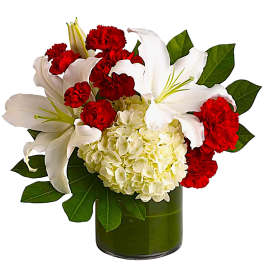 Red carnations and white lilies in a green glass vase with white hydrangea