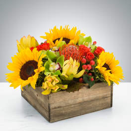 Sunflowers and mixed tropical flowers arranged in a wooden box