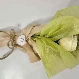 Wrapped bouquet with a white rose and green tissue paper