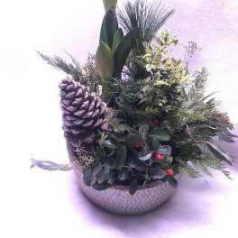 Evergreen arrangement in a textured bowl with a large pinecone