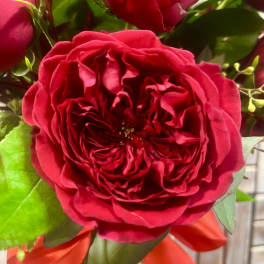 Close-up of red roses with green leaves and a red ribbon