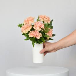 Peach carnations in a white vase