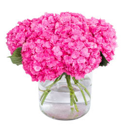 Hot Pink Hydrangea Bouquet