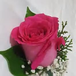 Single hot pink rose boutonniere with small white accent flowers on a white background