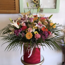 Colorful Box Arrangment