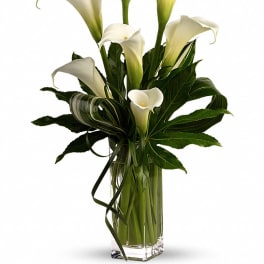 Tall arrangement of white calla lilies in a clear rectangular glass vase