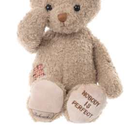 Nobodys Perfect Bear