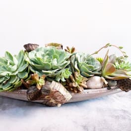 Succulent arrangement in a shallow wooden boat planter