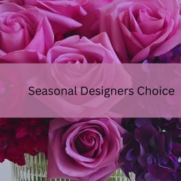 Designers Seasonal Choice