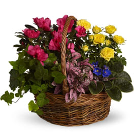 Blooming Garden Basket