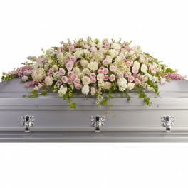Pastel pink and white rose casket spray with trailing ivy on a silver casket