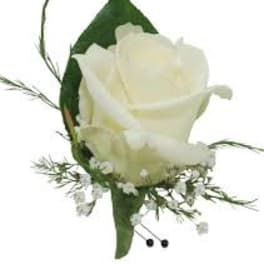 White rose boutonniere with tiny white filler flowers and two black-headed pins