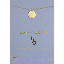 Capricorn Zodiac Necklace
