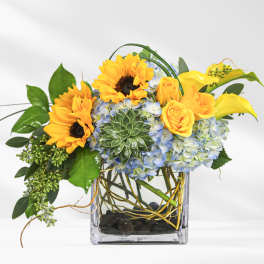 Sunflowers, yellow roses, blue hydrangeas, and calla lilies in a square glass vase