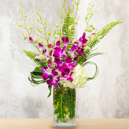 Purple orchids and white hydrangea in a clear rectangular vase