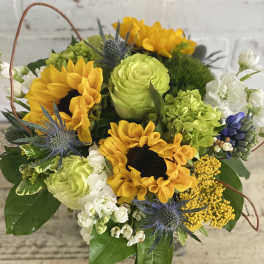 Basket arrangement with yellow sunflowers, green roses, and blue thistles