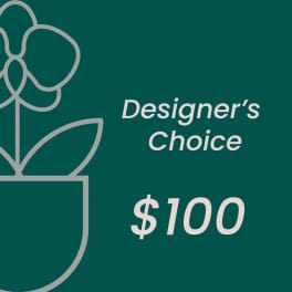 Designer's Choice $100 gift card graphic on a teal background