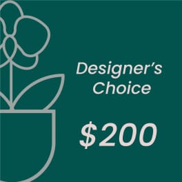 Designer’s Choice $200 graphic on a teal background