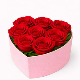 Heart-shaped box of red roses on a white background