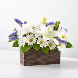 White Lily & Daisy Harmony Box