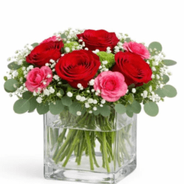 Red and pink roses in a clear glass vase with baby's breath