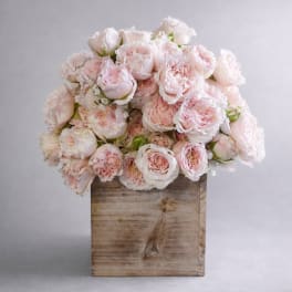 Bouquet of pale pink roses in a rustic wooden box