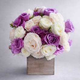 Bouquet of purple, white, and blush roses in a wooden box