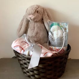 Baby Girl Gift Basket