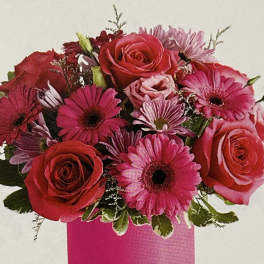 Pink and red roses with gerbera daisies in a pink vase